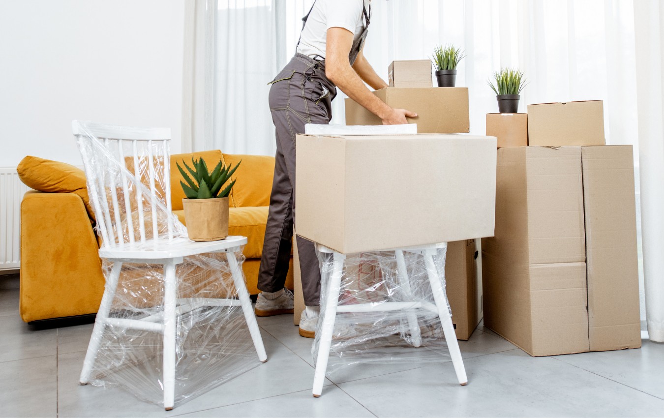 Furniture Movers Aspect Mover